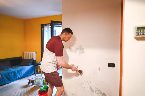 Best Home Mold Removal  in La Honda, CA